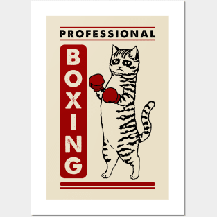 Cat and boxing Posters and Art